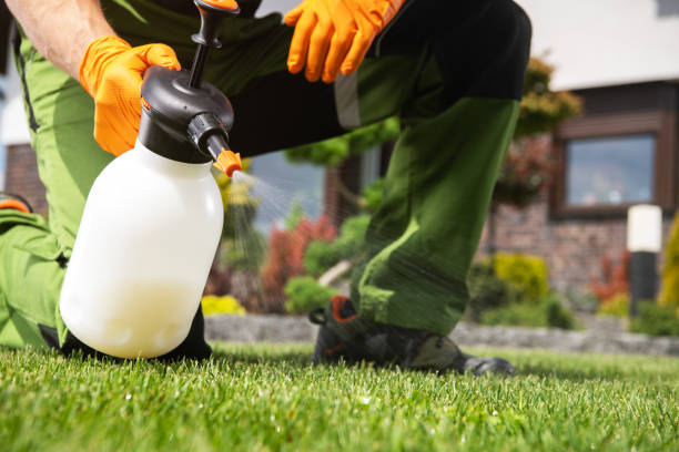 Pest Control for Restaurants in Jensen Beach, FL