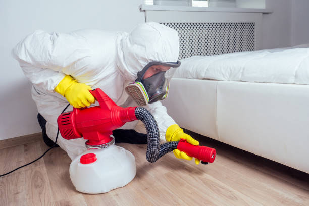 Best Emergency Pest Control  in Jensen Beach, FL