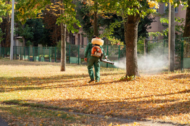 Best Termite Control Services  in Jensen Beach, FL