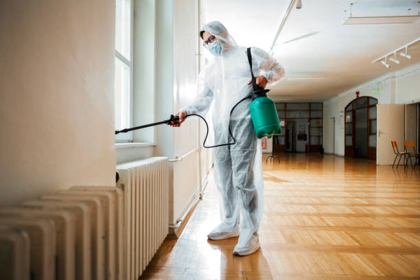 Best Bed Bug Extermination  in Jensen Beach, FL