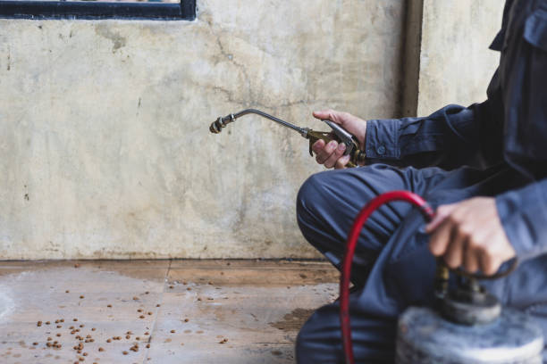 Best Affordable Pest Control Services  in Jensen Beach, FL
